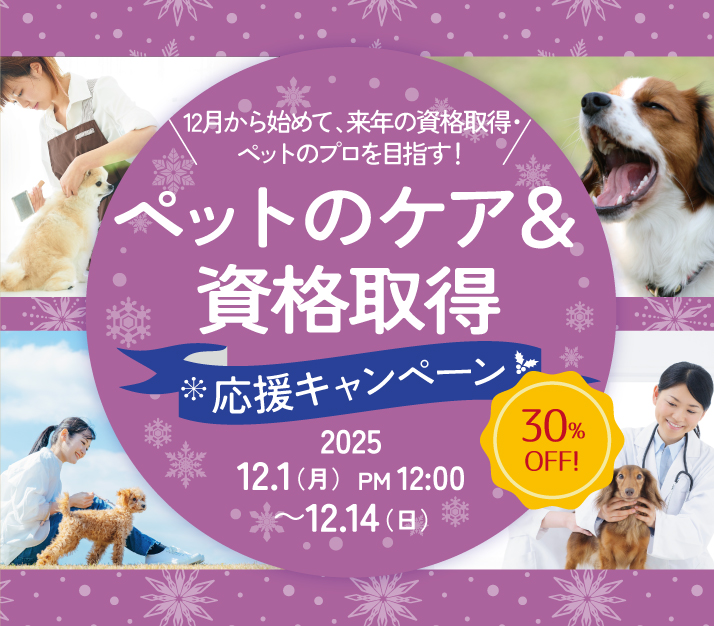 ペット30%OFF