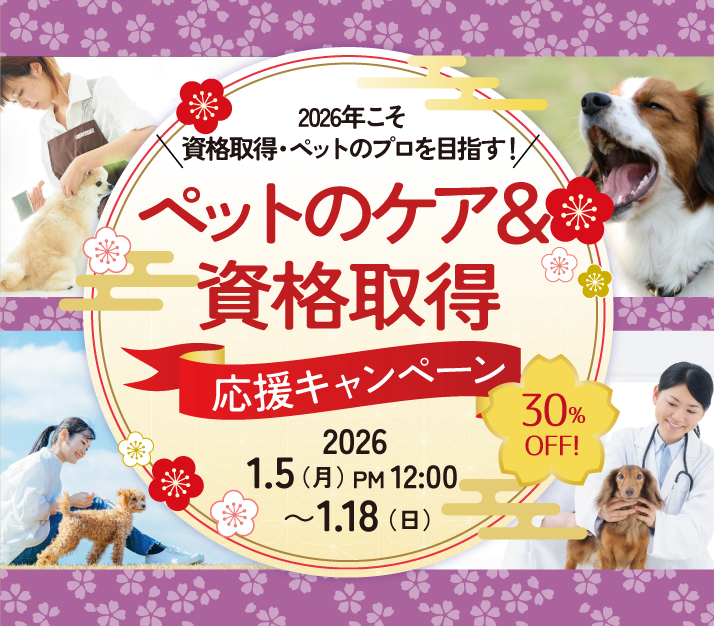 通信教育講座で資格なら「ヒューマンアカデミー通信講座(旧たのまな