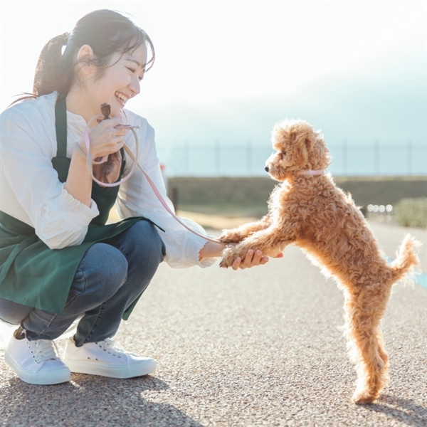 動物看護・介護・シッター講座|通信教育講座で資格なら「ヒューマンアカデミー通信講座（旧たのまな）」