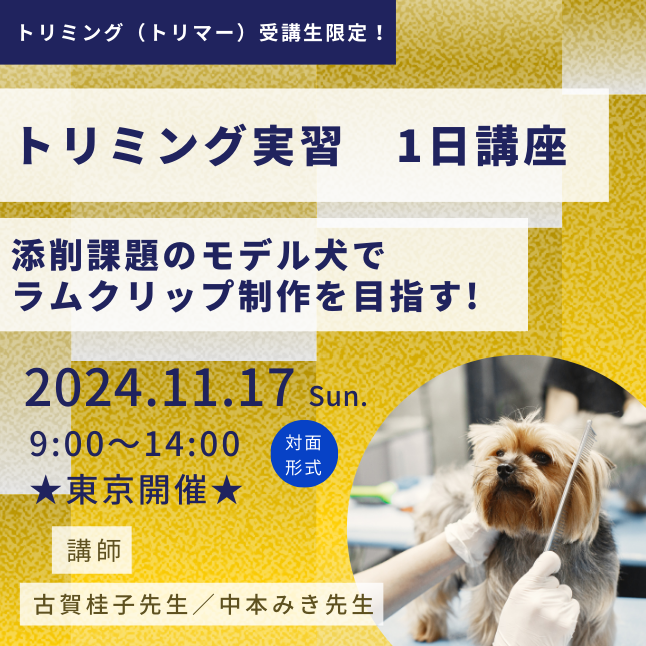 【申込期間：10月18日7:00-11月15日15:59】トリミング実習　1日講座（11月17日9:00-14:00開催）