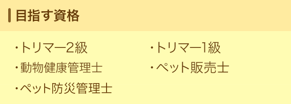 目指す資格