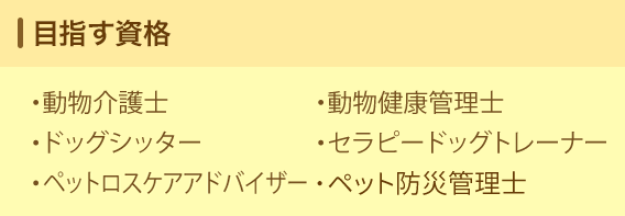 目指す資格