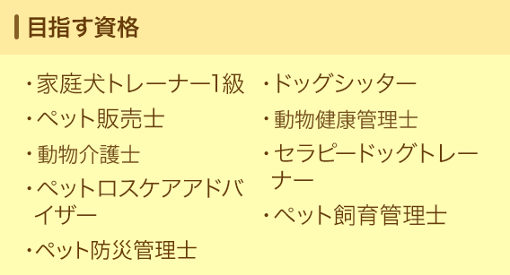 目指す資格