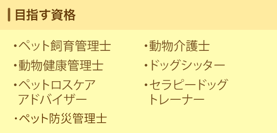 目指す資格