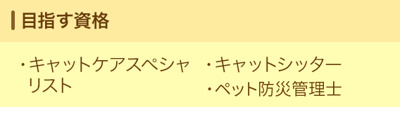 目指す資格