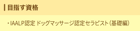 目指す資格