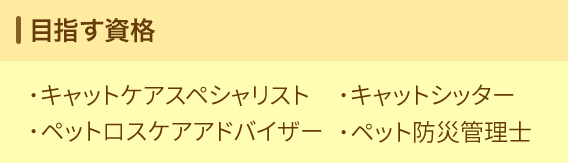 目指す資格