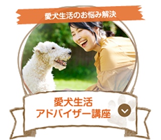 愛犬生活アドバイザー講座