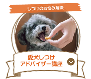 動物介護看護講座