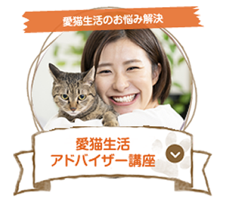 愛猫生活アドバイザー講座