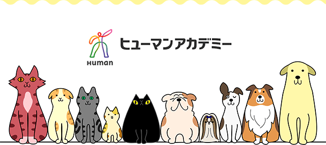 ヒューマンアカデミー