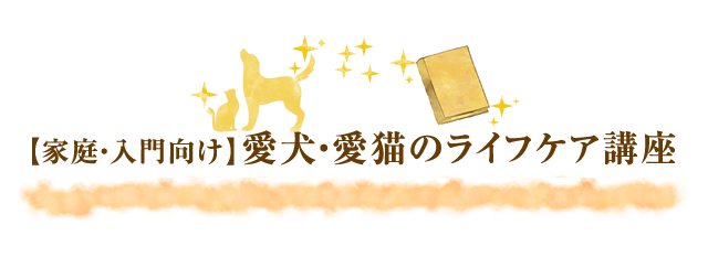 【家庭・入門向け】愛犬・愛猫のライフケア講座