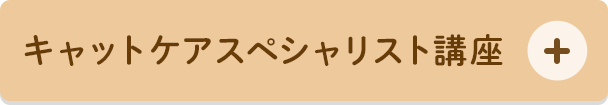 キャットケアスペシャリスト講座