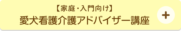 愛犬看護介護アドバイザー講座
