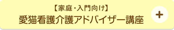 愛猫看護介護アドバイザー講座