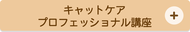 キャットケアプロフェッショナル講座