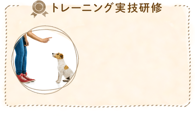 トレーニング実技研修