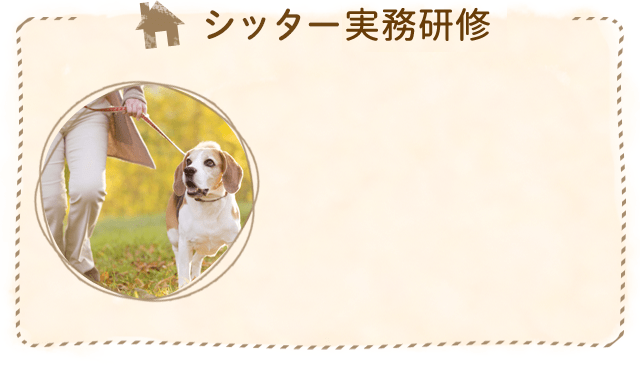 シッター実務研修