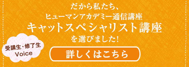 キャットケアスペシャリスト講座|ヒューマンアカデミー通信講座