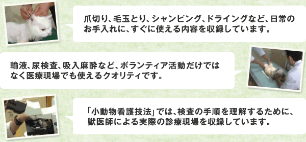 キャットケアスペシャリスト講座|ヒューマンアカデミー通信講座（旧た