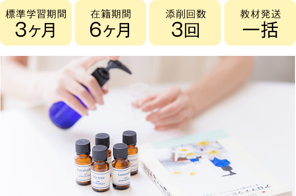 期間3ヶ月・6ヶ月、添削3回