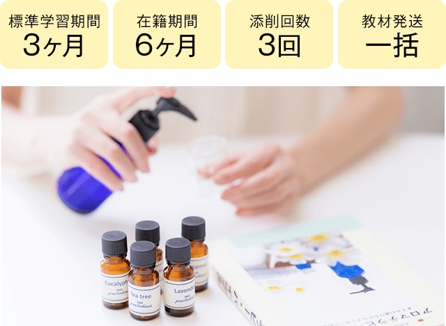 期間3ヶ月・6ヶ月、添削3回