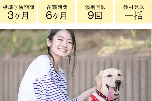 期間3ヶ月・6ヶ月、添削9回