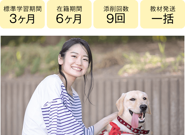 期間3ヶ月・6ヶ月、添削9回