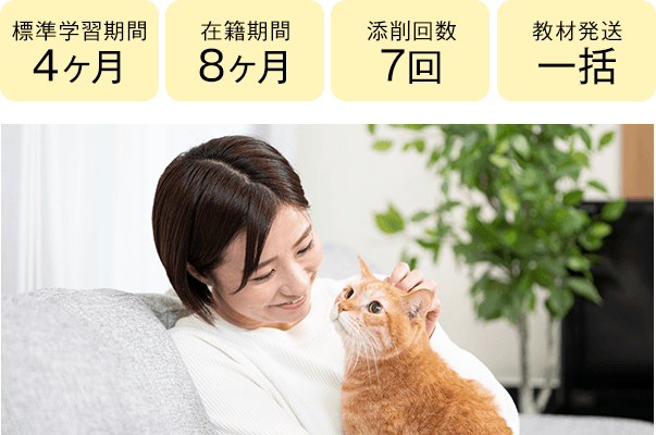 期間4ヶ月・8ヶ月、添削7回