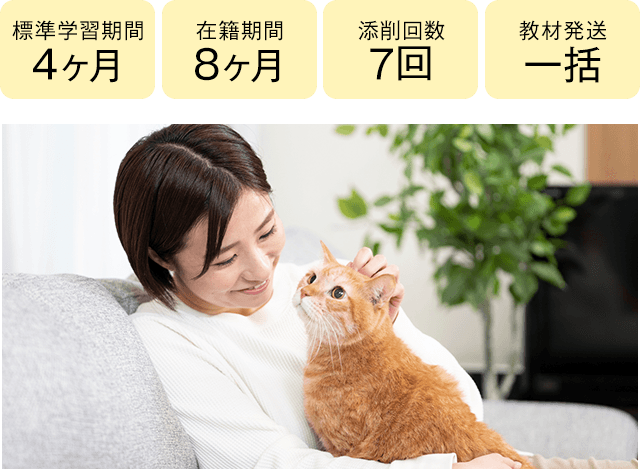 期間4ヶ月・8ヶ月、添削7回