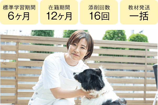 期間6ヶ月・12ヶ月、添削16回