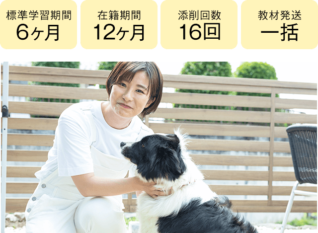 期間6ヶ月・12ヶ月、添削16回