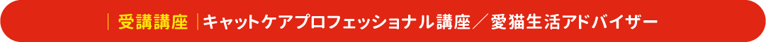 ｜ 受講講座 ｜キャットケアプロフェッショナル講座／愛猫生活アドバイザー