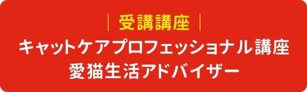 ｜ 受講講座 ｜キャットケアプロフェッショナル講座／愛猫生活アドバイザー