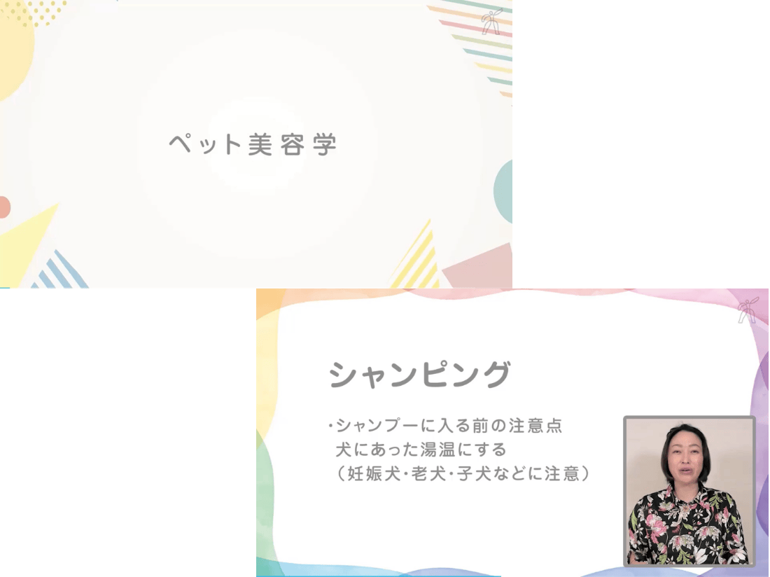 ヒューマンアカデミー通信講座（旧たのまな）