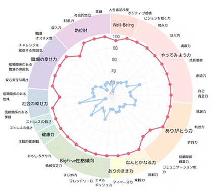 Well-Being Circle診断のイメージ図